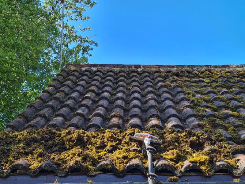 Tiled roof in Hazel Grove, Stockport, after careful hand moss removal and biocide treatment