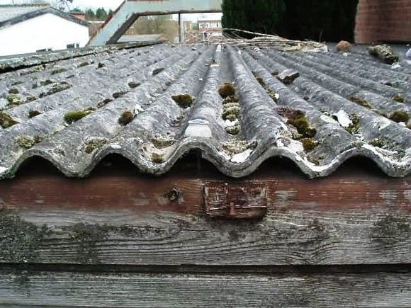Weathered, moss-covered corrugated cement sheets on a timber garage roof